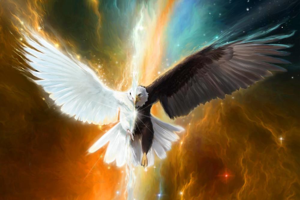 The Eagle and The Dove